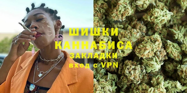 сатива Беломорск