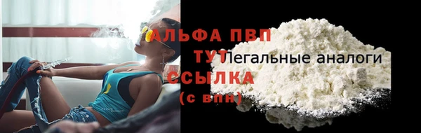 сатива Беломорск