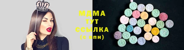 сатива Беломорск