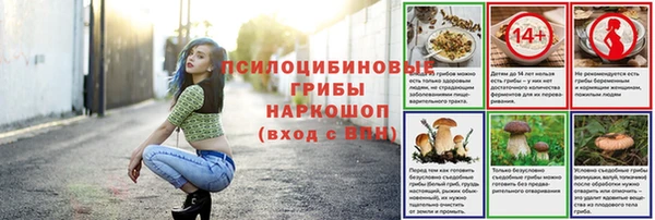 мяу мяу мука Белоозёрский