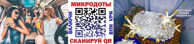 Псилоцибиновые грибы Psilocybe  Кувандык 